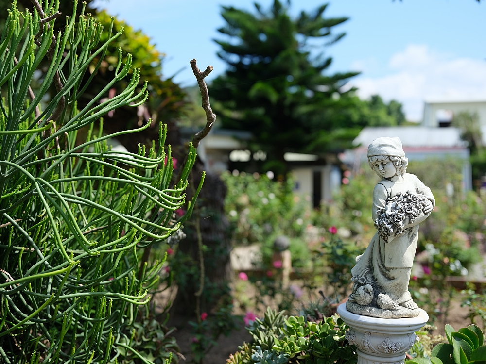 【雅聞香草植物工廠】苗栗免費景點，最新花況，玫瑰花廊浪漫風車隨你拍 @捲捲頭 ♡ 品味生活