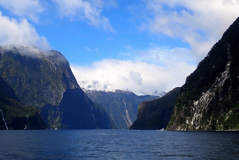 【Milford Sound米佛峽灣】紐西蘭必打卡項目：搭遊輪看世界遺產，也能看到海豚海豹全攻略（附交通停車） @捲捲頭 ♡ 品味生活