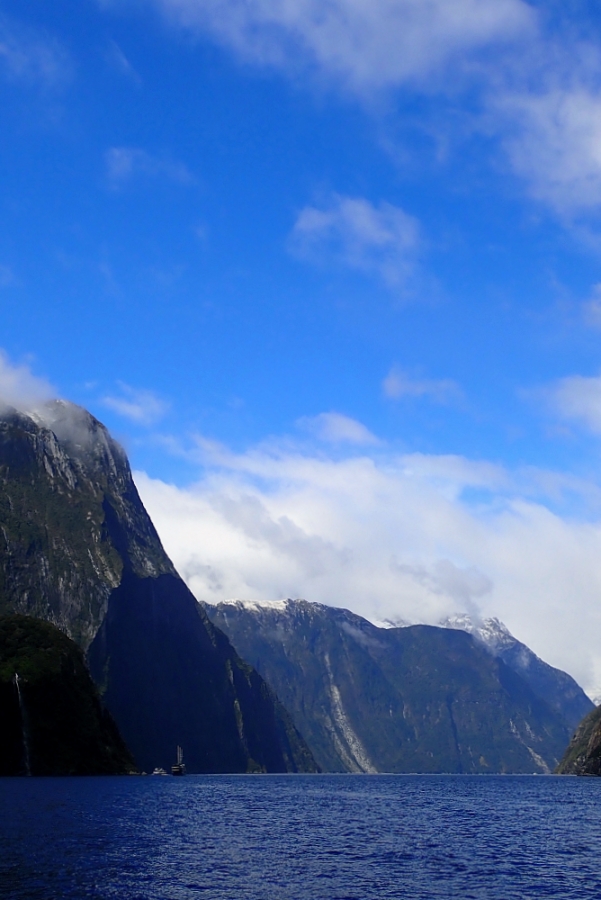 【Milford Sound米佛峽灣】紐西蘭必打卡項目：搭遊輪看世界遺產，也能看到海豚海豹全攻略（附交通停車） @捲捲頭 ♡ 品味生活