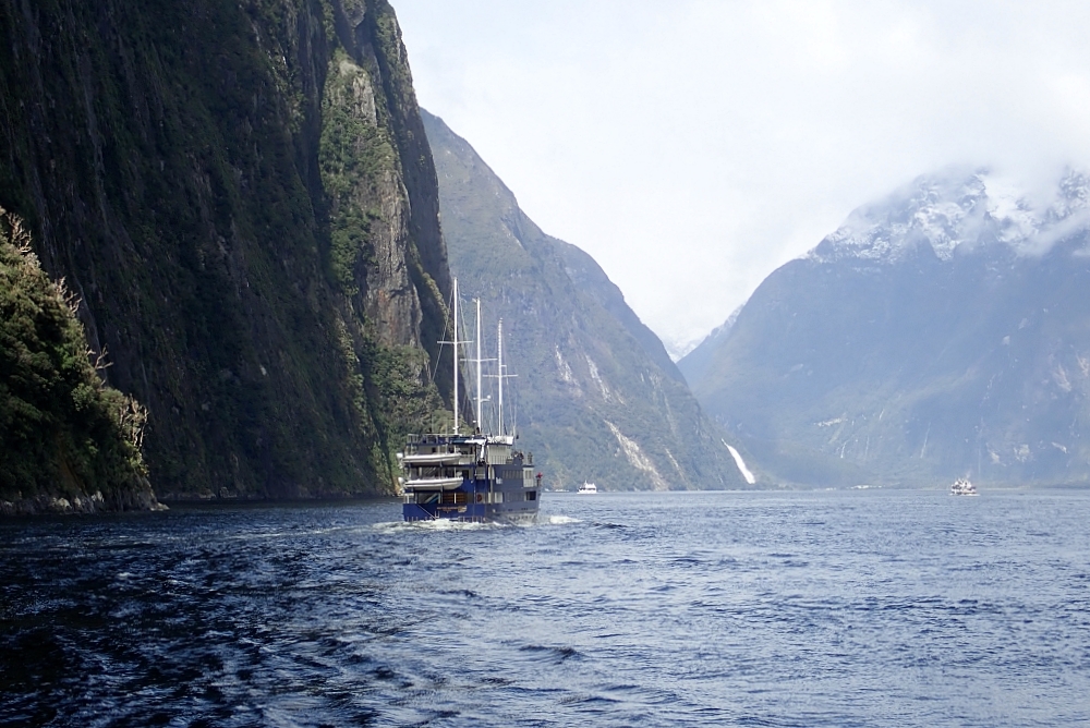 【Milford Sound米佛峽灣】紐西蘭必打卡項目：搭遊輪看世界遺產，也能看到海豚海豹全攻略（附交通停車） @捲捲頭 ♡ 品味生活