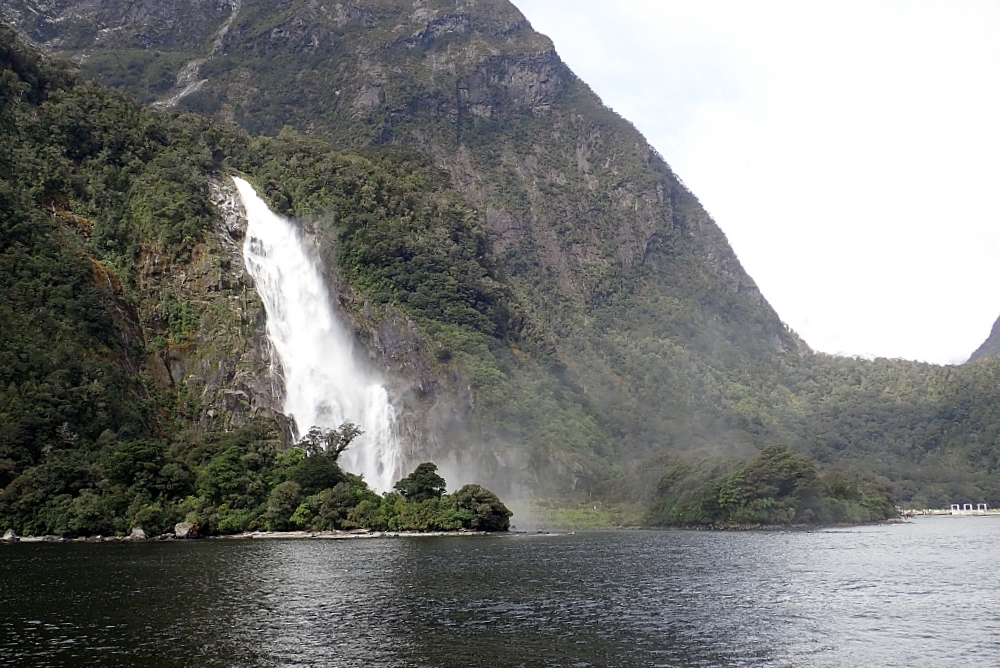 【Milford Sound米佛峽灣】紐西蘭必打卡項目：搭遊輪看世界遺產，也能看到海豚海豹全攻略（附交通停車） @捲捲頭 ♡ 品味生活