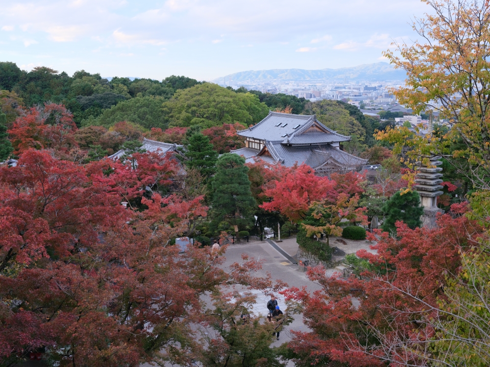 【京都賞紅葉】清水寺最新紅葉情報、交通地圖全攻略～ @捲捲頭 ♡ 品味生活