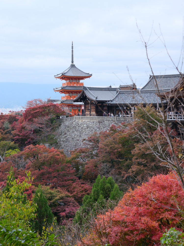 【京都賞紅葉】清水寺最新紅葉情報、交通地圖全攻略～ @捲捲頭 ♡ 品味生活