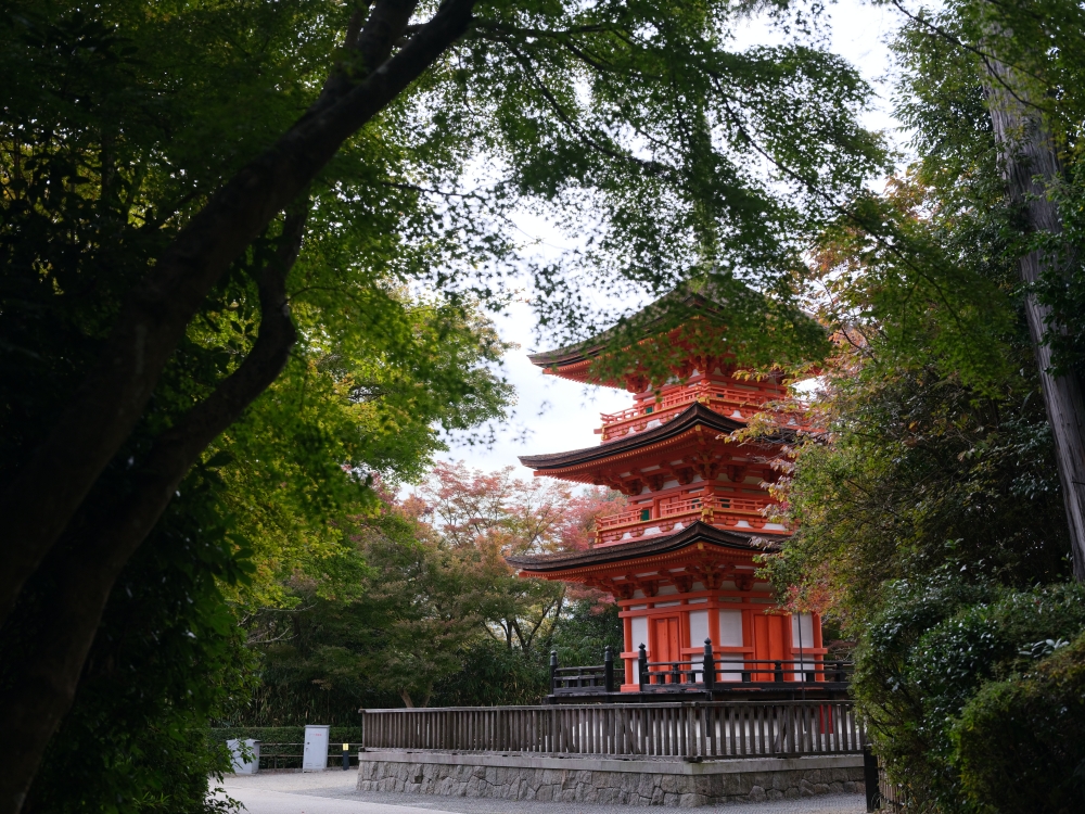 【京都賞紅葉】清水寺最新紅葉情報、交通地圖全攻略～ @捲捲頭 ♡ 品味生活