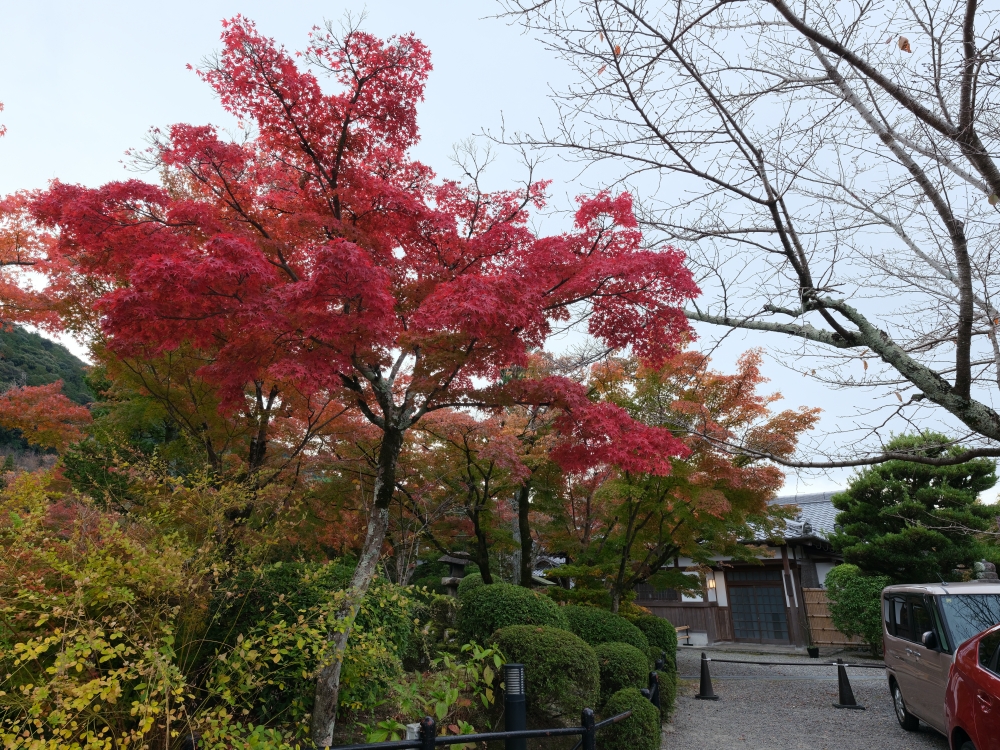 【京都賞紅葉】清水寺最新紅葉情報、交通地圖全攻略～ @捲捲頭 ♡ 品味生活