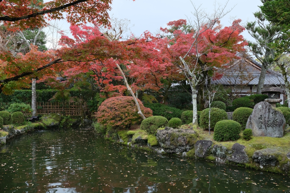 【京都賞紅葉】清水寺最新紅葉情報、交通地圖全攻略～ @捲捲頭 ♡ 品味生活