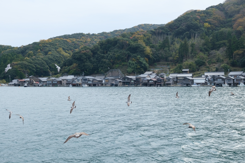 【京都天橋立美山一日遊】京都近郊必去景點美山、天橋立、伊根，免自駕全攻略 @捲捲頭 ♡ 品味生活