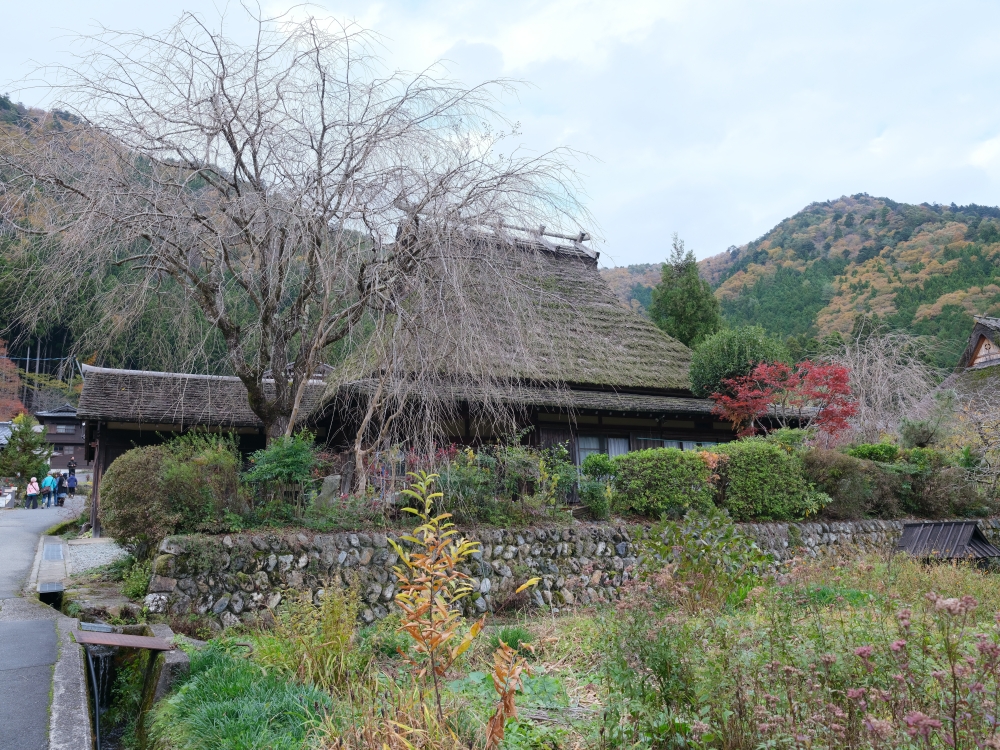 【京都天橋立美山一日遊】京都近郊必去景點美山、天橋立、伊根，免自駕全攻略 @捲捲頭 ♡ 品味生活