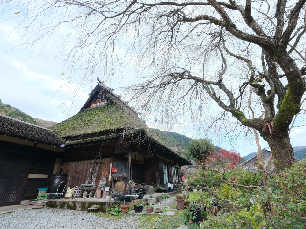 【京都天橋立美山一日遊】京都近郊必去景點美山、天橋立、伊根，免自駕全攻略 @捲捲頭 ♡ 品味生活