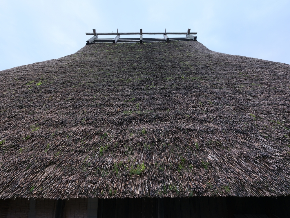 【京都天橋立美山一日遊】京都近郊必去景點美山、天橋立、伊根，免自駕全攻略 @捲捲頭 ♡ 品味生活