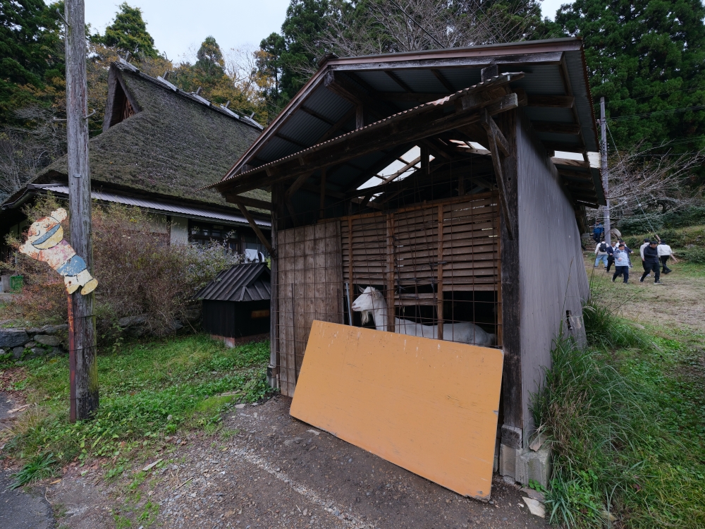 【京都天橋立美山一日遊】京都近郊必去景點美山、天橋立、伊根，免自駕全攻略 @捲捲頭 ♡ 品味生活