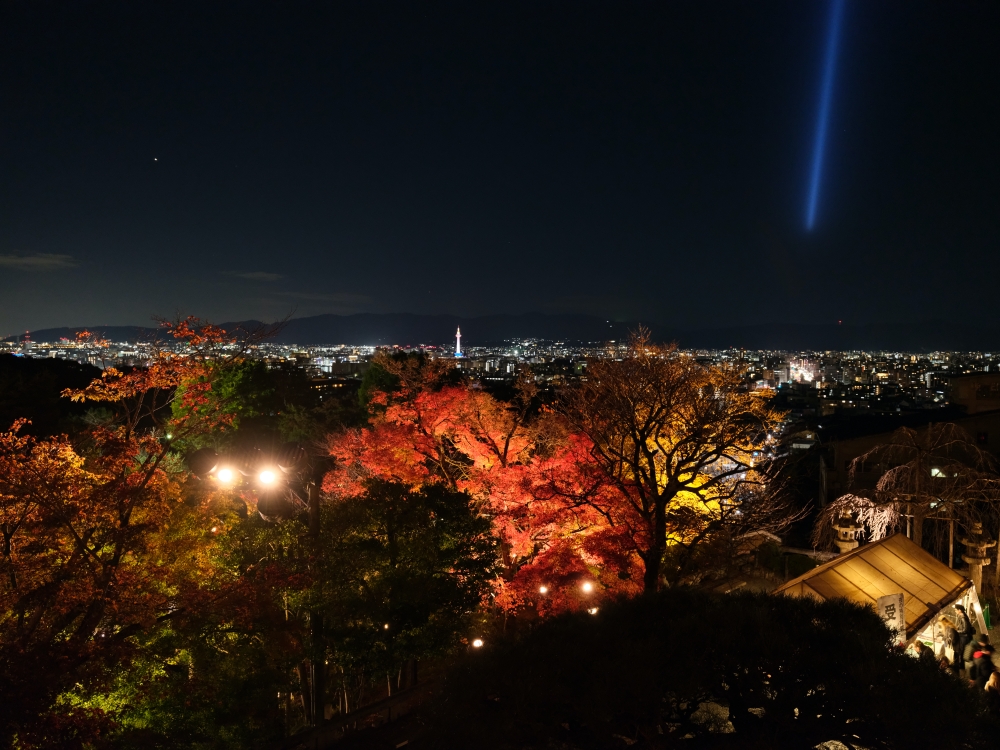 2024【秋季夜間拜觀】京都清水寺賞夜楓， 門票、交通、必拍景點全攻略 @捲捲頭 ♡ 品味生活