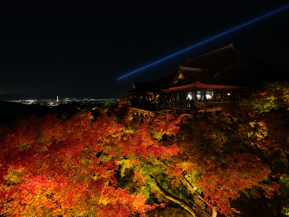 2024【秋季夜間拜觀】京都清水寺賞夜楓， 門票、交通、必拍景點全攻略 @捲捲頭 ♡ 品味生活