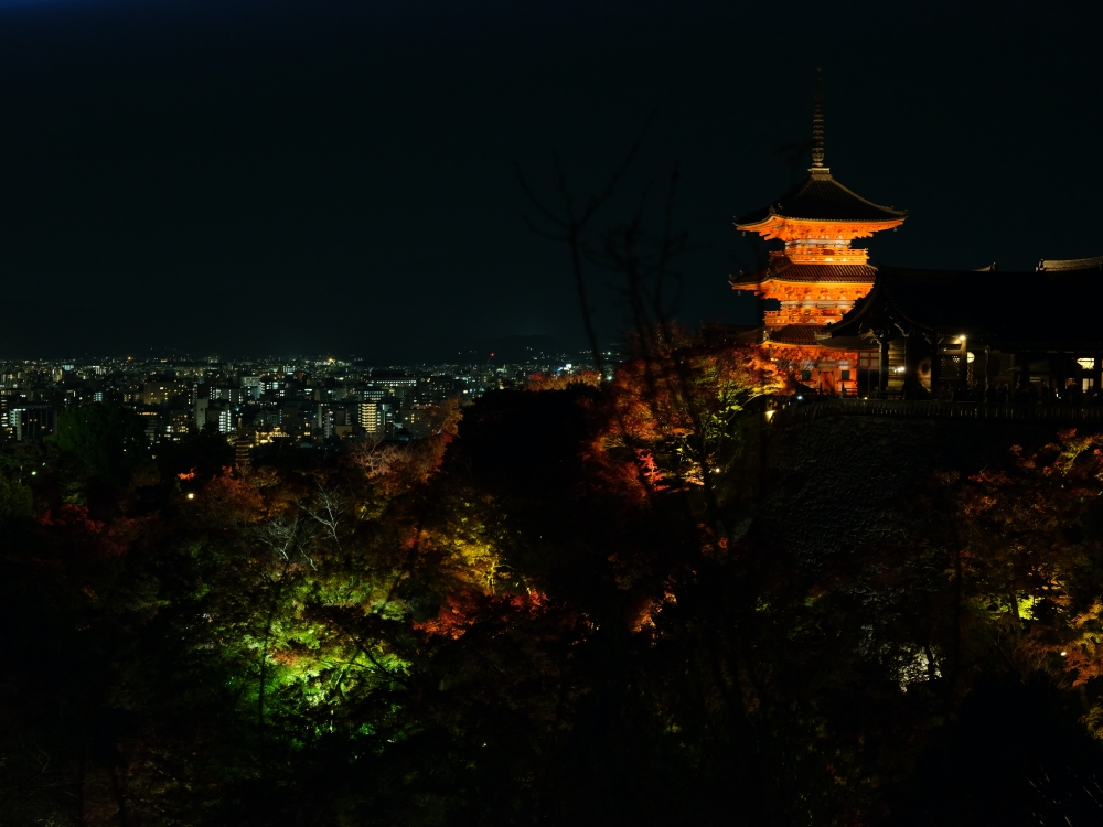 2024【秋季夜間拜觀】京都清水寺賞夜楓， 門票、交通、必拍景點全攻略 @捲捲頭 ♡ 品味生活