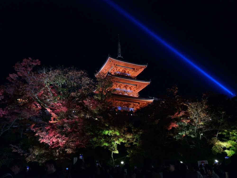 2024【秋季夜間拜觀】京都清水寺賞夜楓， 門票、交通、必拍景點全攻略 @捲捲頭 ♡ 品味生活