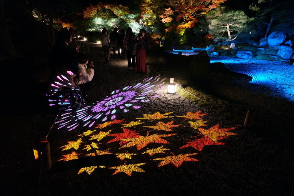 【京都夜楓半日遊】參觀東寺和知恩院友禪苑夜楓，大珠小珠落玉盤，太美了～ @捲捲頭 ♡ 品味生活