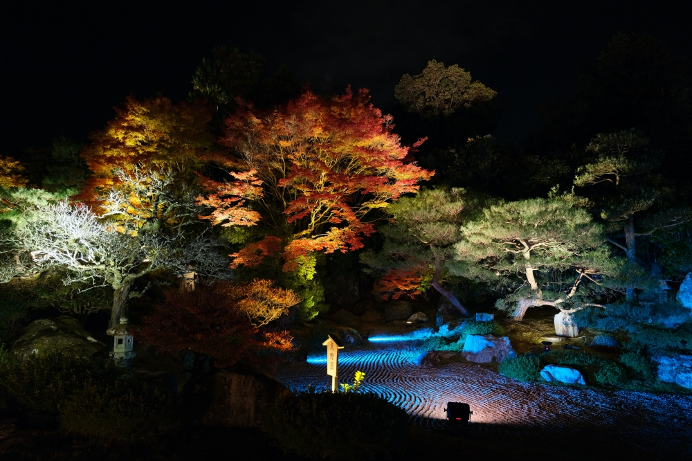 【京都夜楓半日遊】參觀東寺和知恩院友禪苑夜楓，大珠小珠落玉盤，太美了～ @捲捲頭 ♡ 品味生活