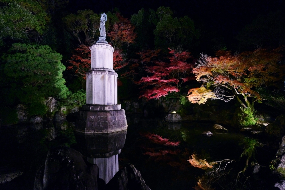 【京都夜楓半日遊】參觀東寺和知恩院友禪苑夜楓，大珠小珠落玉盤，太美了～ @捲捲頭 ♡ 品味生活