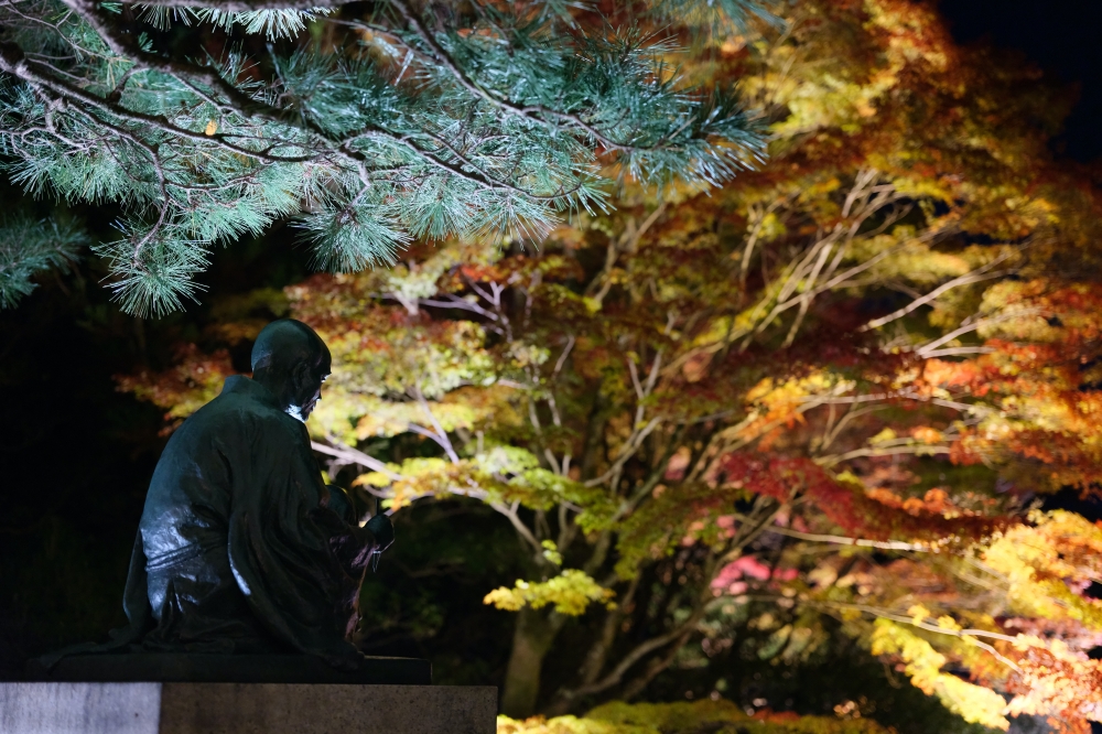 【京都夜楓半日遊】參觀東寺和知恩院友禪苑夜楓，大珠小珠落玉盤，太美了～ @捲捲頭 ♡ 品味生活