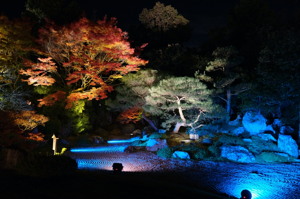 【京都夜楓半日遊】參觀東寺和知恩院友禪苑夜楓，大珠小珠落玉盤，太美了～ @捲捲頭 ♡ 品味生活