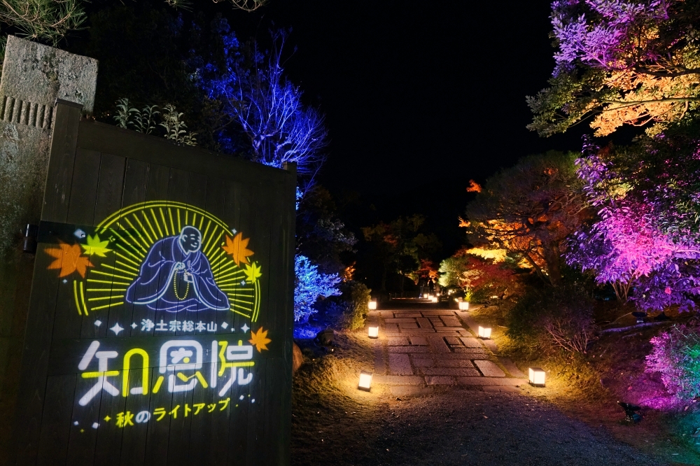 【京都夜楓半日遊】參觀東寺和知恩院友禪苑夜楓，大珠小珠落玉盤，太美了～ @捲捲頭 ♡ 品味生活