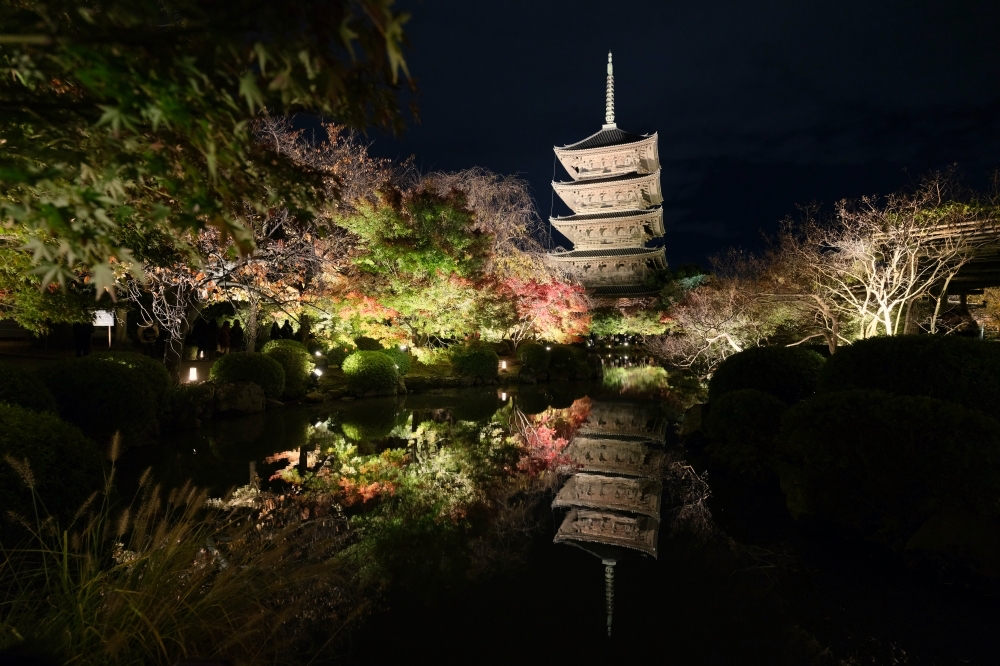 【京都夜楓半日遊】參觀東寺和知恩院友禪苑夜楓，大珠小珠落玉盤，太美了～ @捲捲頭 ♡ 品味生活