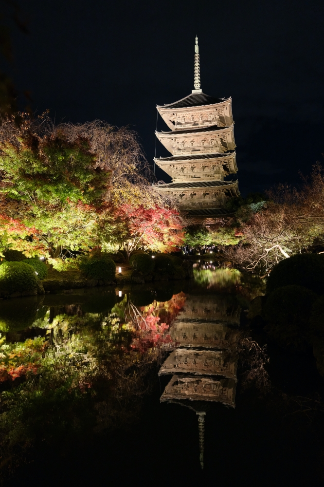 【京都夜楓半日遊】參觀東寺和知恩院友禪苑夜楓，大珠小珠落玉盤，太美了～ @捲捲頭 ♡ 品味生活