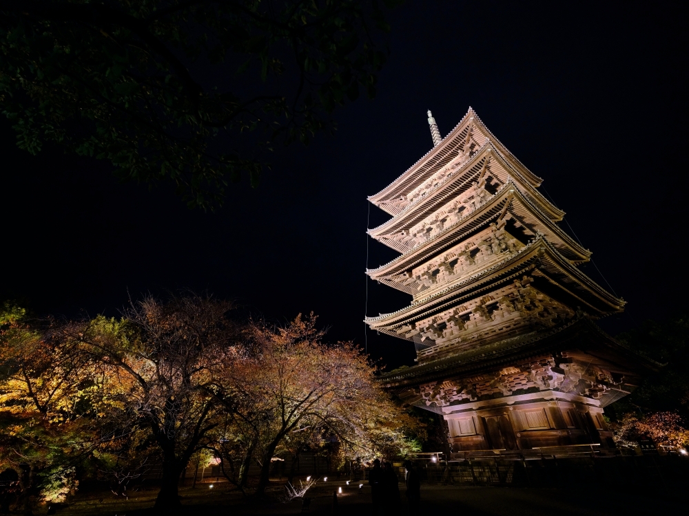 【京都夜楓半日遊】參觀東寺和知恩院友禪苑夜楓，大珠小珠落玉盤，太美了～ @捲捲頭 ♡ 品味生活