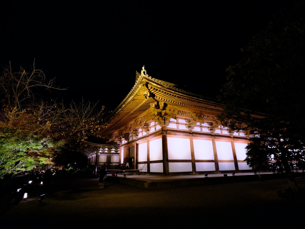 【京都夜楓半日遊】參觀東寺和知恩院友禪苑夜楓，大珠小珠落玉盤，太美了～ @捲捲頭 ♡ 品味生活