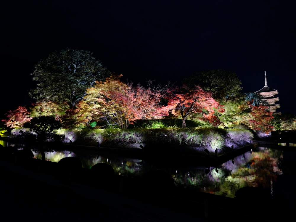 【京都夜楓半日遊】參觀東寺和知恩院友禪苑夜楓，大珠小珠落玉盤，太美了～ @捲捲頭 ♡ 品味生活