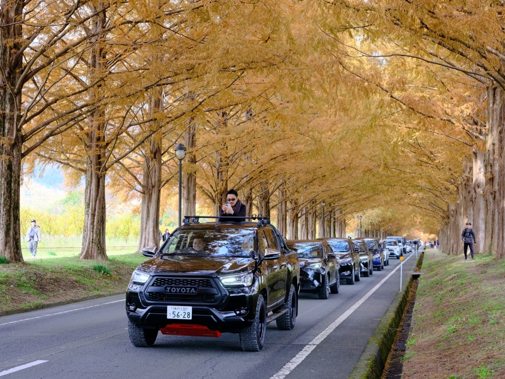 滋賀景點【牧野高原水杉林蔭大道】翻開格雷斯的履歷：交通停車、必拍景點全攻略 @捲捲頭 ♡ 品味生活