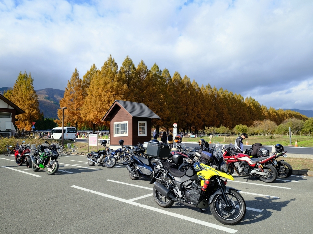 滋賀景點【牧野高原水杉林蔭大道】翻開格雷斯的履歷：交通停車、必拍景點全攻略 @捲捲頭 ♡ 品味生活