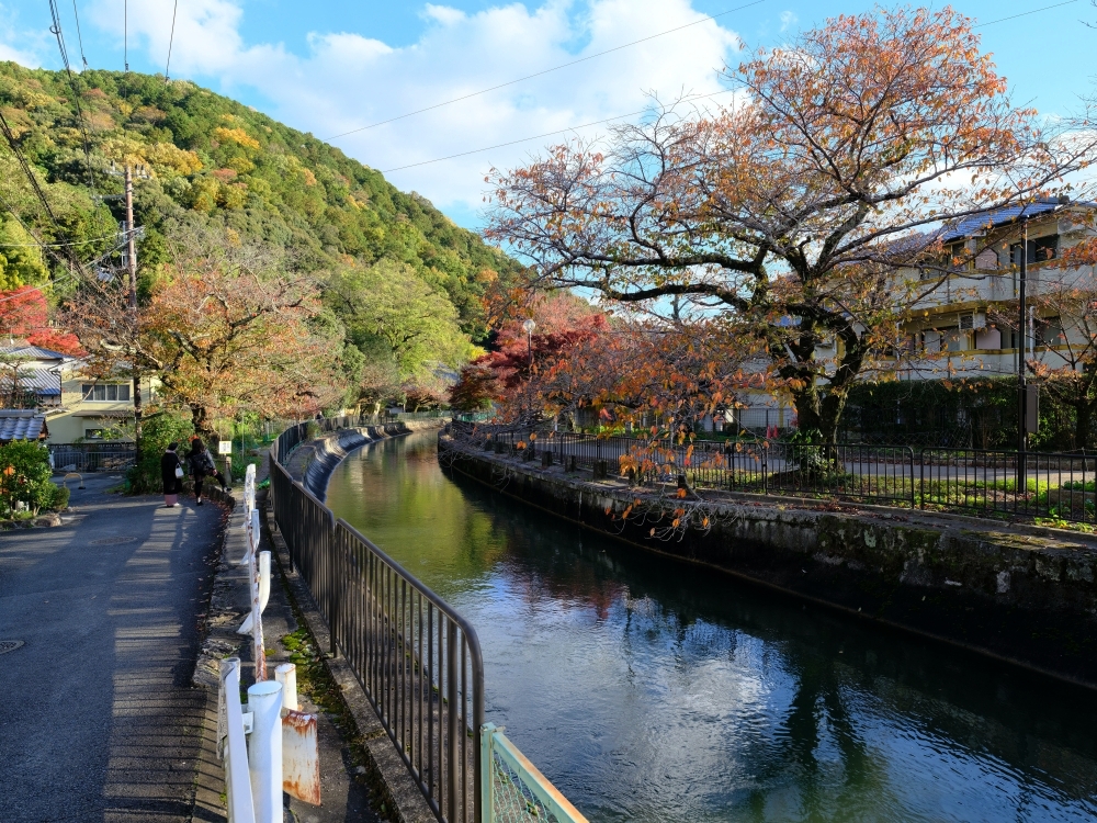 【毘沙門堂】滿山橘爆的紅葉，小巧精緻賞楓名所，最新楓況、交通地圖全攻略 @捲捲頭 ♡ 品味生活