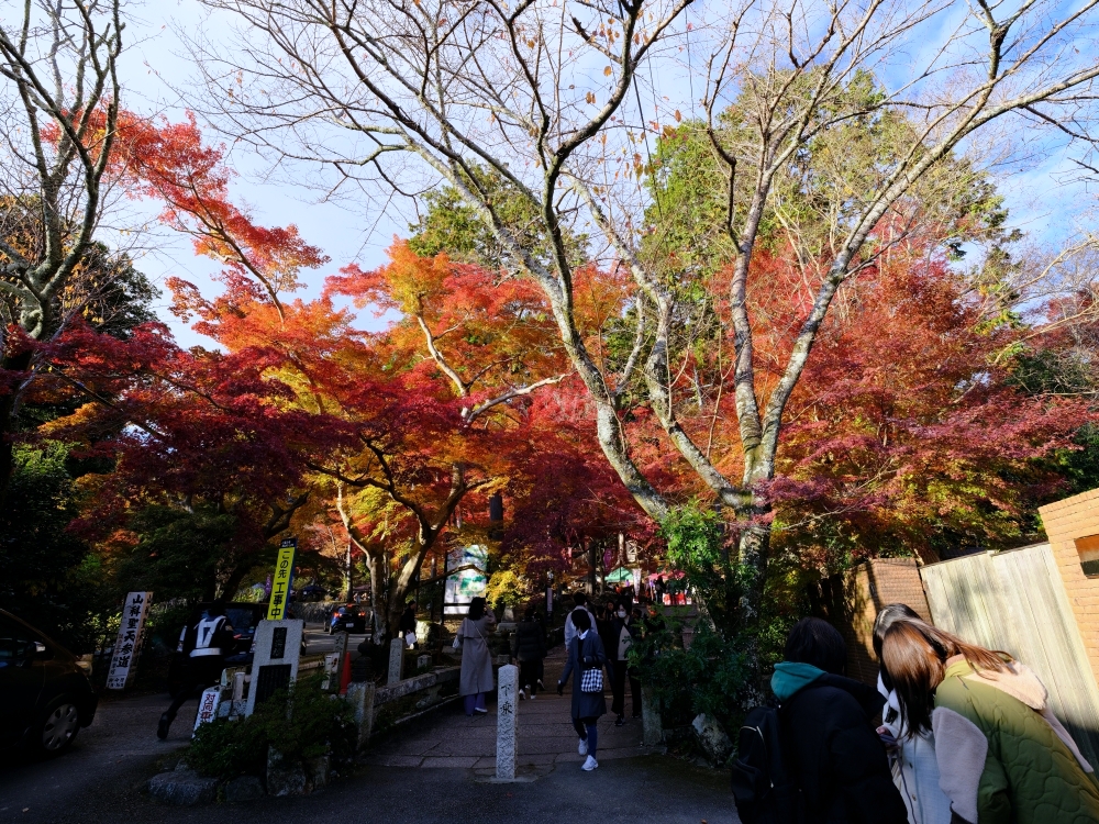 【毘沙門堂】滿山橘爆的紅葉，小巧精緻賞楓名所，最新楓況、交通地圖全攻略 @捲捲頭 ♡ 品味生活