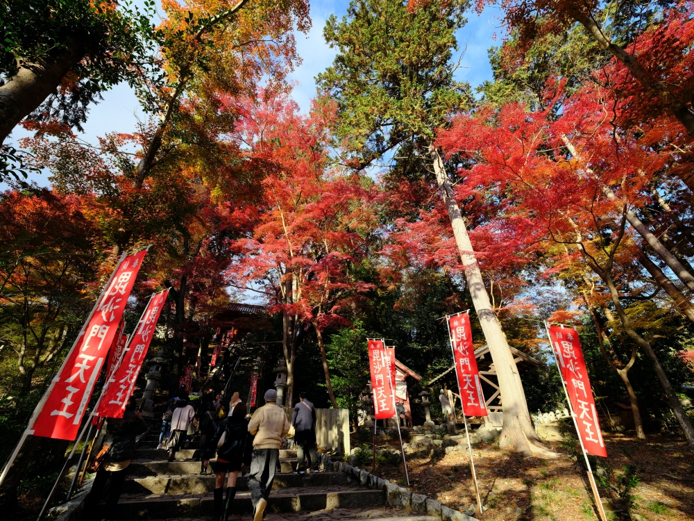 【毘沙門堂】滿山橘爆的紅葉，小巧精緻賞楓名所，最新楓況、交通地圖全攻略 @捲捲頭 ♡ 品味生活