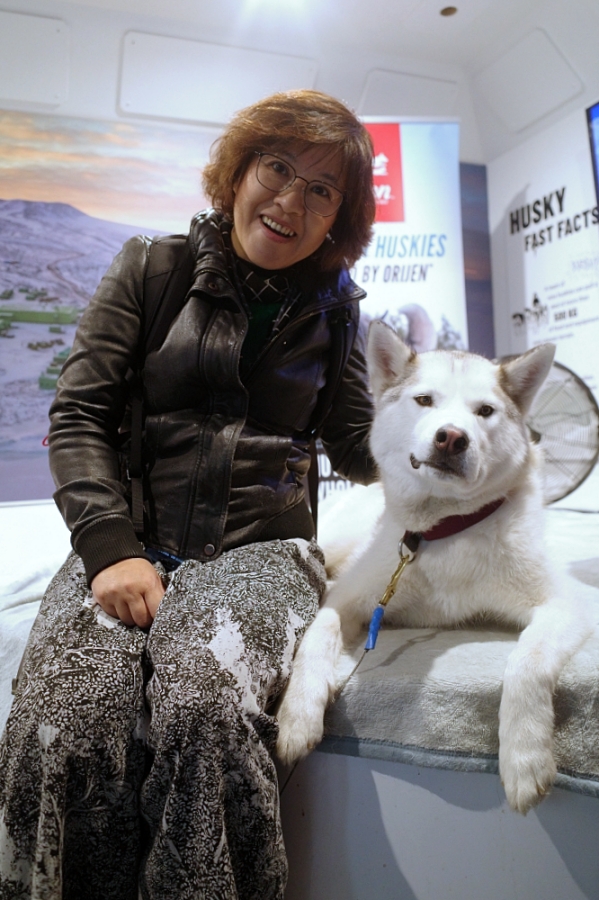 紐西蘭【國際南極中心】和小藍企鵝一起玩自拍，門票優惠、交通、互動體驗全攻略 @捲捲頭 ♡ 品味生活