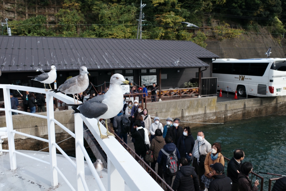 【京都天橋立美山一日遊】京都近郊必去景點美山、天橋立、伊根，免自駕全攻略 @捲捲頭 ♡ 品味生活