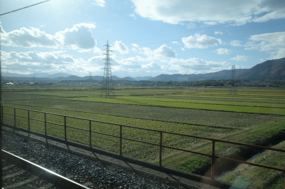 滋賀景點【牧野高原水杉林蔭大道】翻開格雷斯的履歷：交通停車、必拍景點全攻略 @捲捲頭 ♡ 品味生活