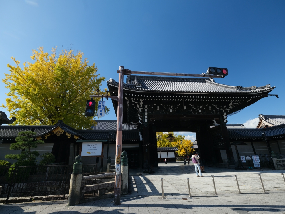 【西本願寺】京都銀杏名所，朝天生長的四百年大銀杏 @捲捲頭 ♡ 品味生活