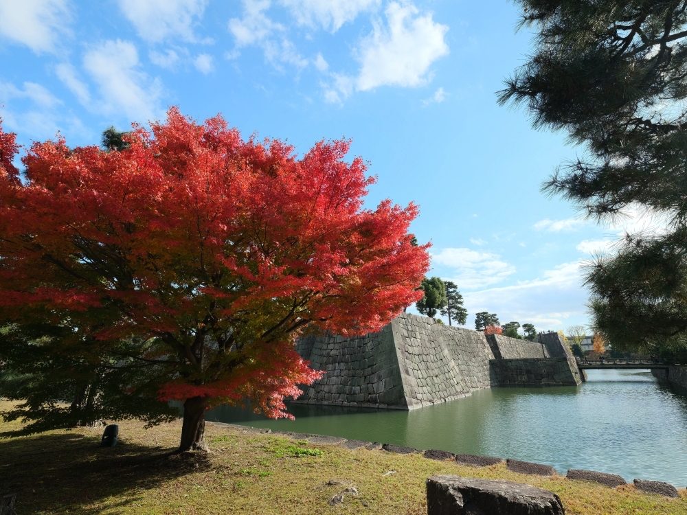 【元離宮二條城】德川家康幕府家族的輝煌，門票、交通地圖全攻略～ @捲捲頭 ♡ 品味生活