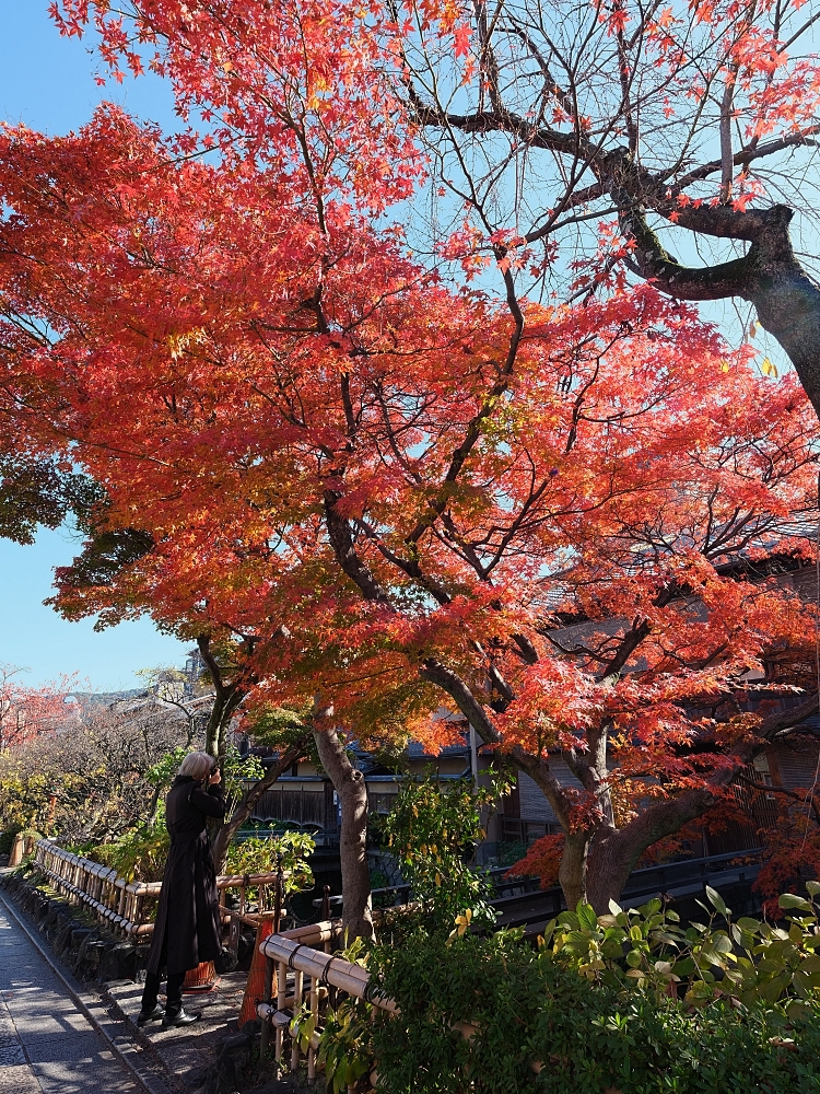 【京都賞楓景點】京都四條最美賞楓路線,祇園白川.岡崎.南禪寺.永觀堂.哲學之道 @捲捲頭 ♡ 品味生活