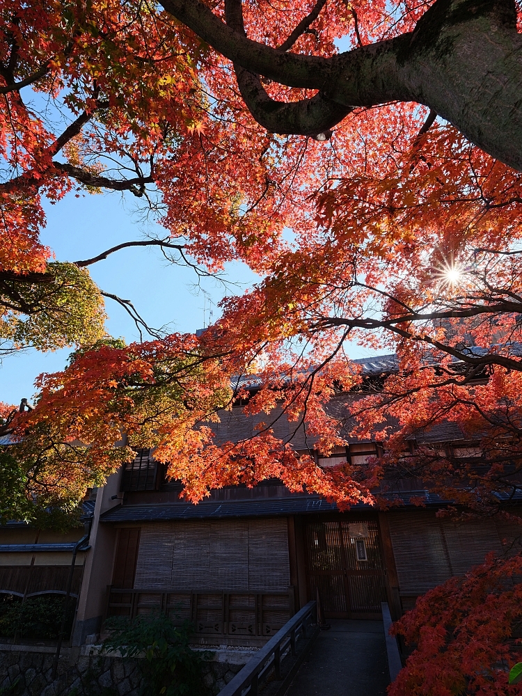 【京都賞楓景點】京都四條最美賞楓路線,祇園白川.岡崎.南禪寺.永觀堂.哲學之道 @捲捲頭 ♡ 品味生活