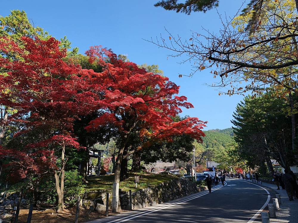 【京都賞楓景點】京都四條最美賞楓路線,祇園白川.岡崎.南禪寺.永觀堂.哲學之道 @捲捲頭 ♡ 品味生活