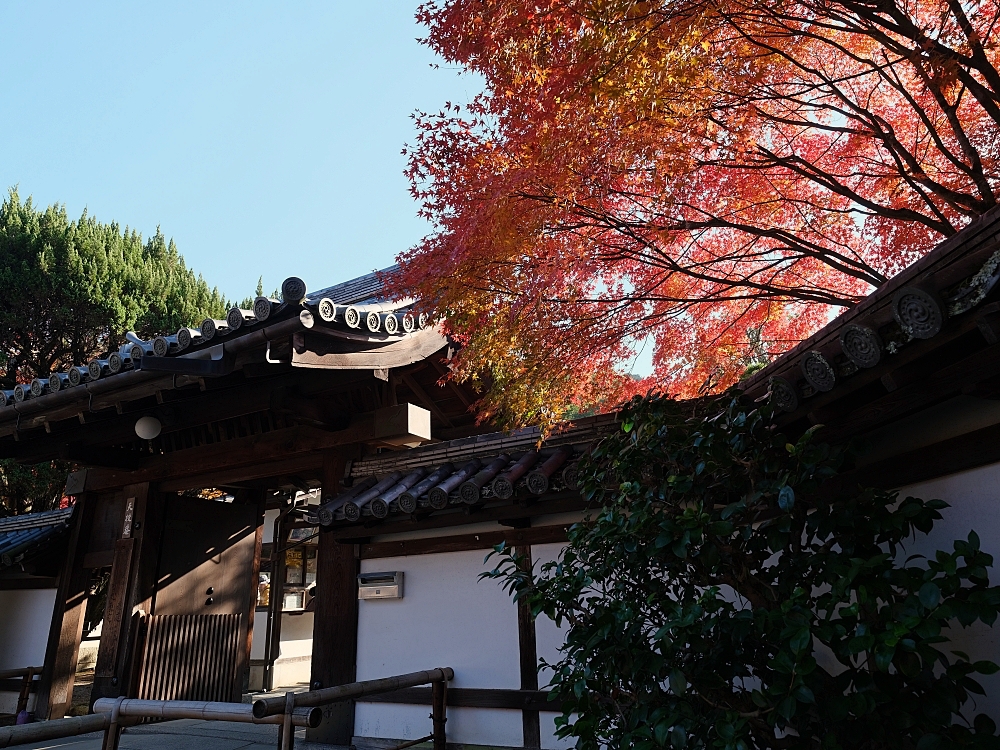 【京都賞楓景點】京都四條最美賞楓路線,祇園白川.岡崎.南禪寺.永觀堂.哲學之道 @捲捲頭 ♡ 品味生活