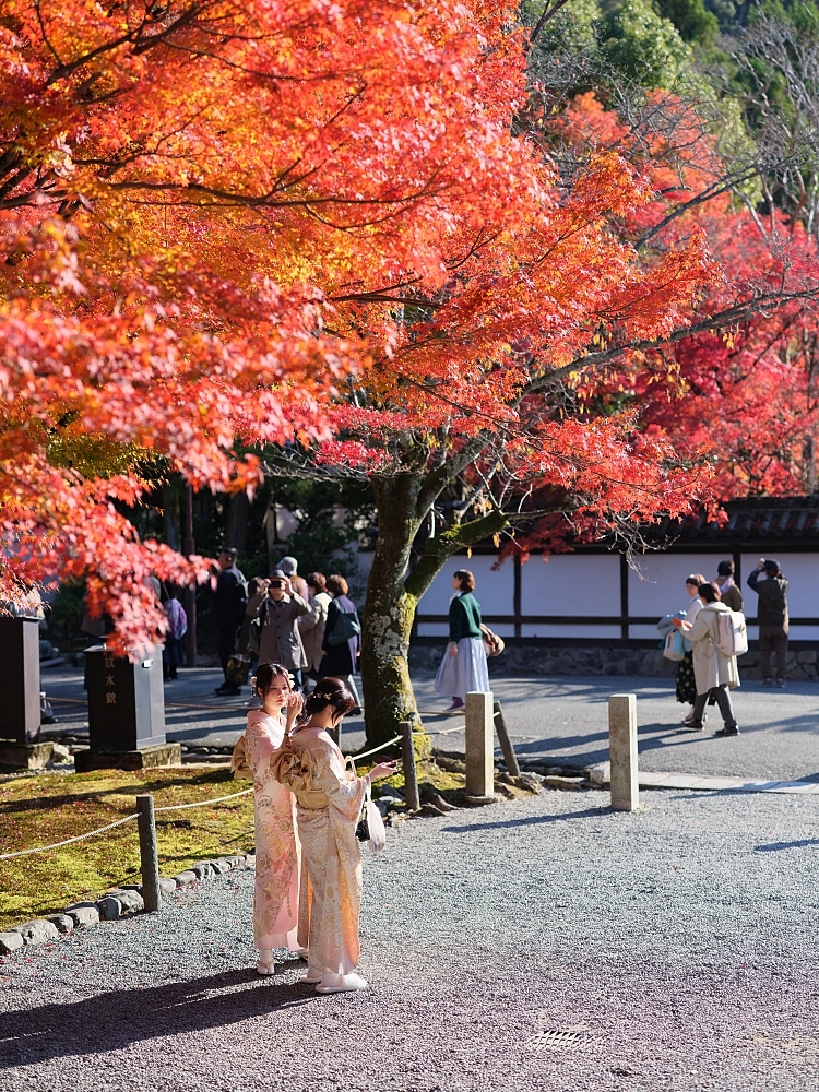 【京都賞楓景點】京都四條最美賞楓路線,祇園白川.岡崎.南禪寺.永觀堂.哲學之道 @捲捲頭 ♡ 品味生活