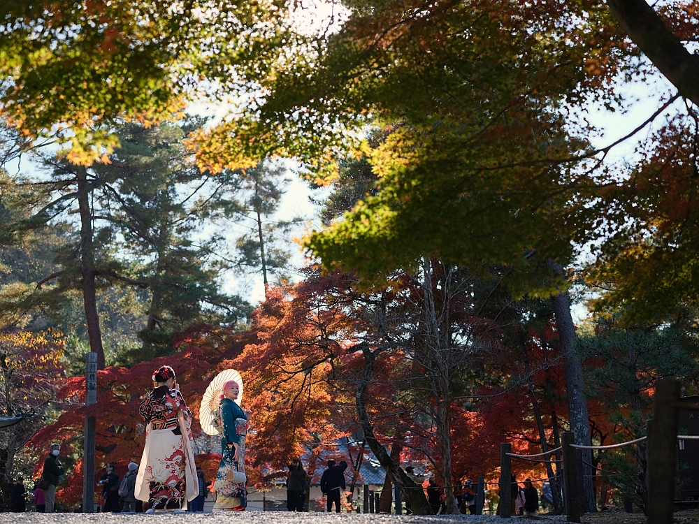 【京都賞楓景點】京都四條最美賞楓路線,祇園白川.岡崎.南禪寺.永觀堂.哲學之道 @捲捲頭 ♡ 品味生活