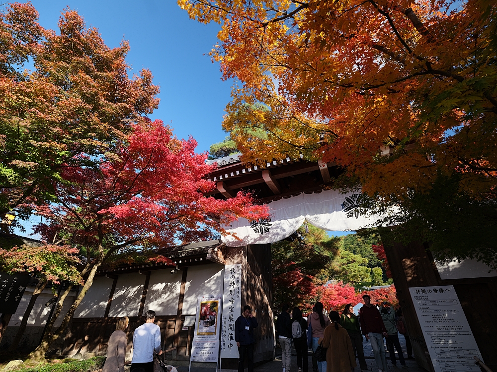 【京都賞楓景點】京都四條最美賞楓路線,祇園白川.岡崎.南禪寺.永觀堂.哲學之道 @捲捲頭 ♡ 品味生活