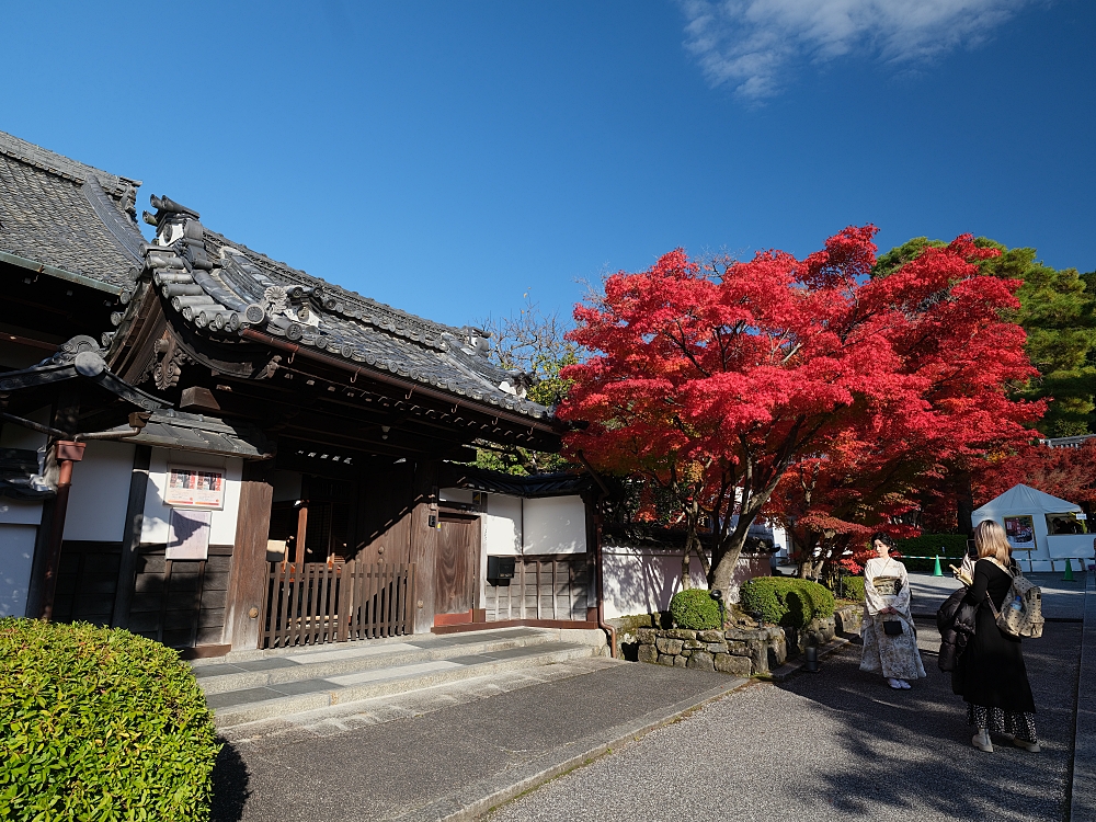 【京都賞楓景點】京都四條最美賞楓路線,祇園白川.岡崎.南禪寺.永觀堂.哲學之道 @捲捲頭 ♡ 品味生活