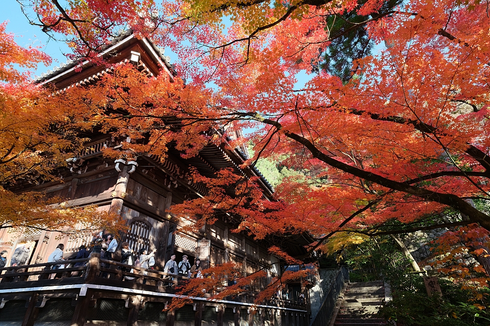 【京都賞楓景點】京都四條最美賞楓路線,祇園白川.岡崎.南禪寺.永觀堂.哲學之道 @捲捲頭 ♡ 品味生活