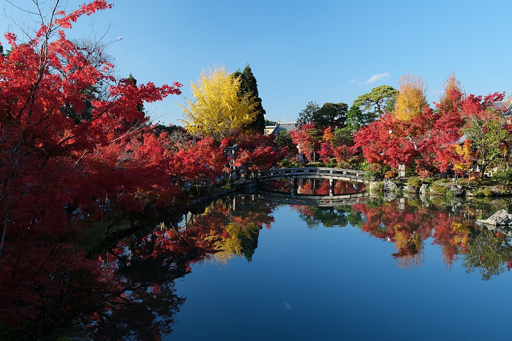 【京都賞楓景點】京都四條最美賞楓路線,祇園白川.岡崎.南禪寺.永觀堂.哲學之道 @捲捲頭 ♡ 品味生活